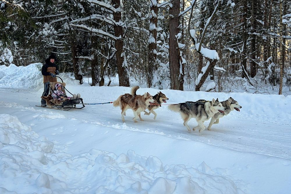 Меховое такси.