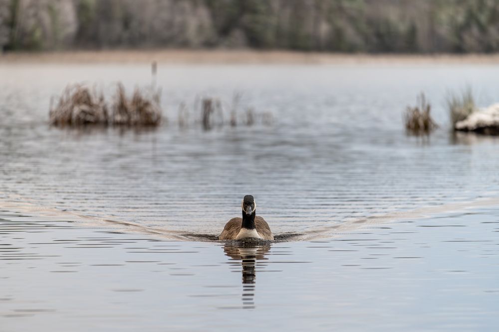Фотография автора Linda Persson