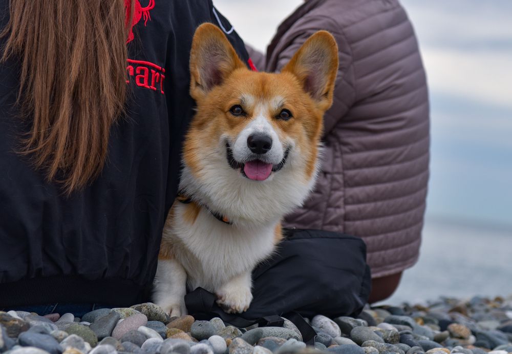 Фотография автора Tarasov Alexander