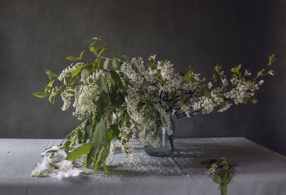 Photograph by Елена Осипова
