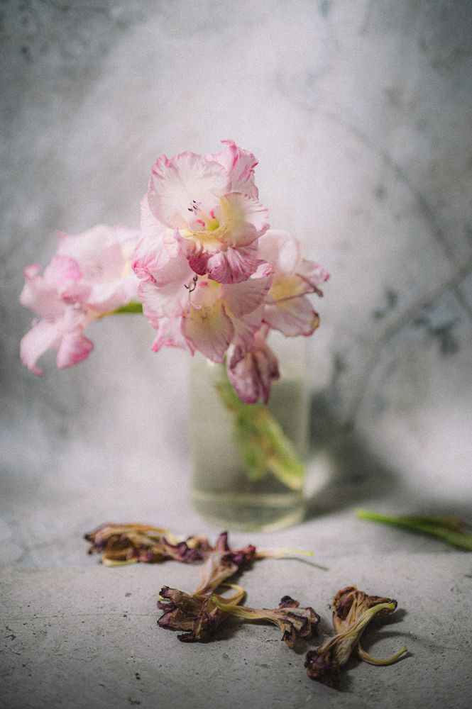 Photograph by Оксана Артимович