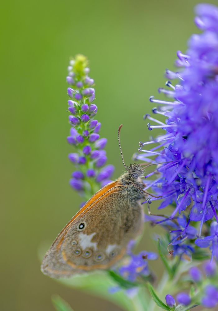 Photograph by Александра Плискова