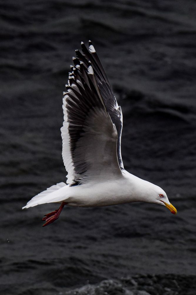 Photograph by Iwamoto Reina