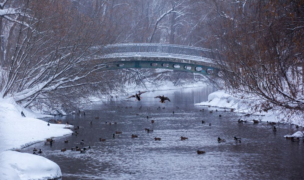 Фотография автора Сергей Щёголев