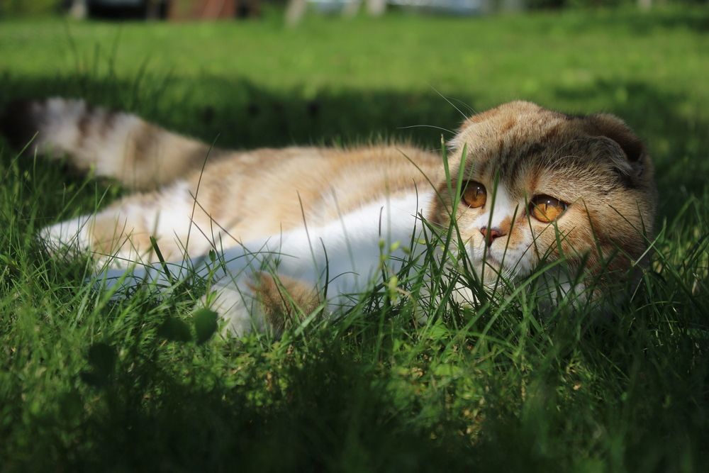 Photograph by Павел Павловский