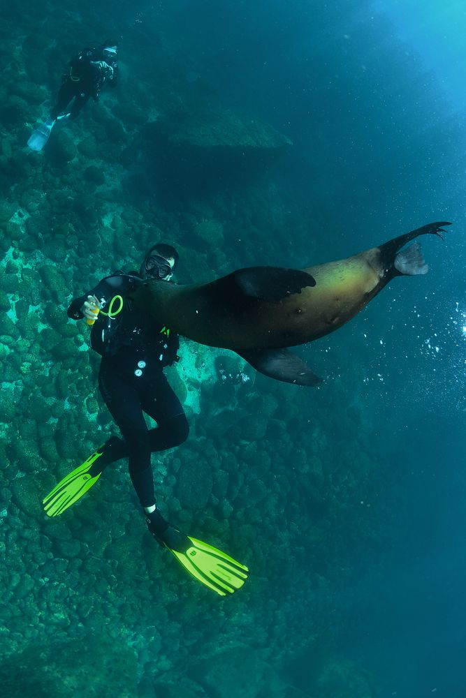 Photograph by ANTONIO RUVER BANDEIRA