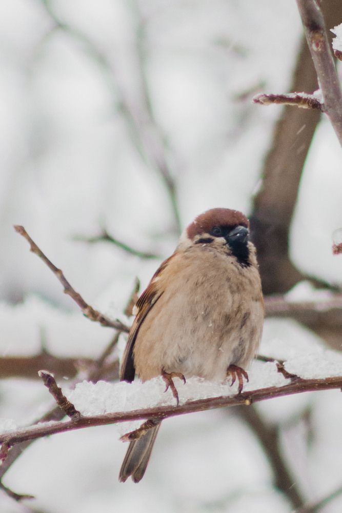 Photograph by Елена Ибрагимова