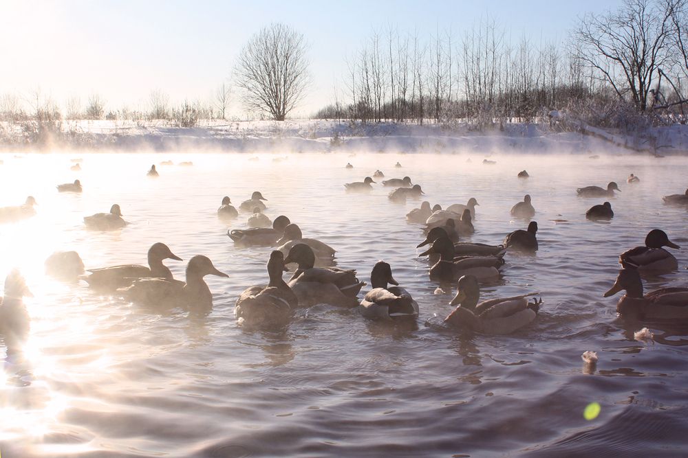 Photograph by Лилия Голд