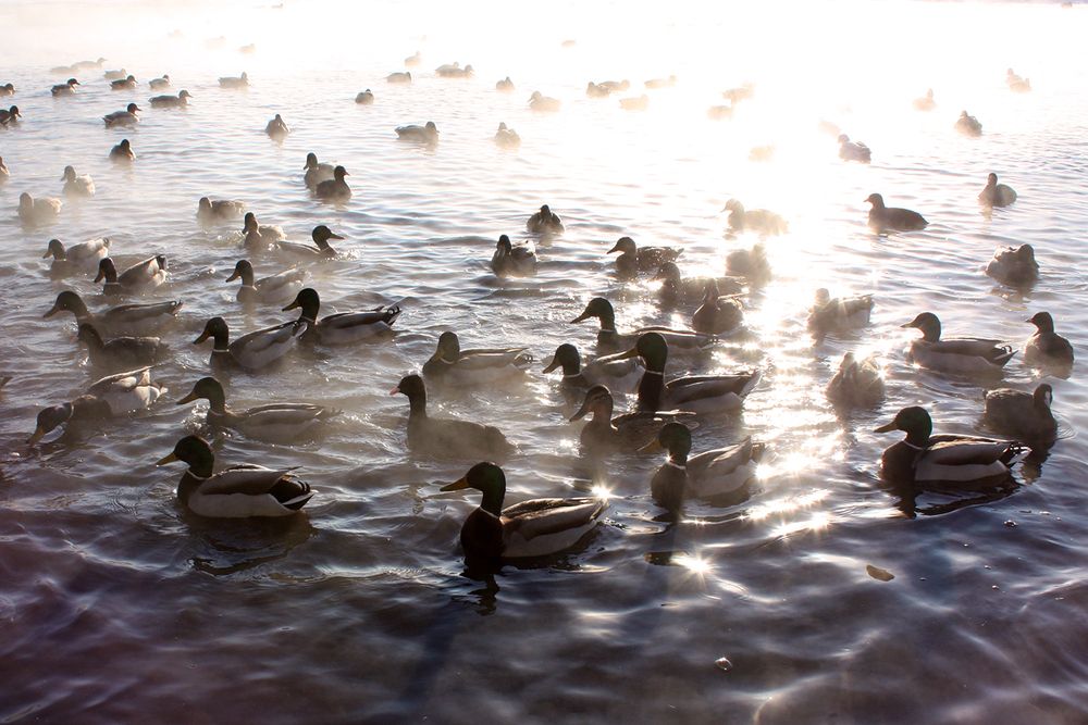 Photograph by Лилия Голд