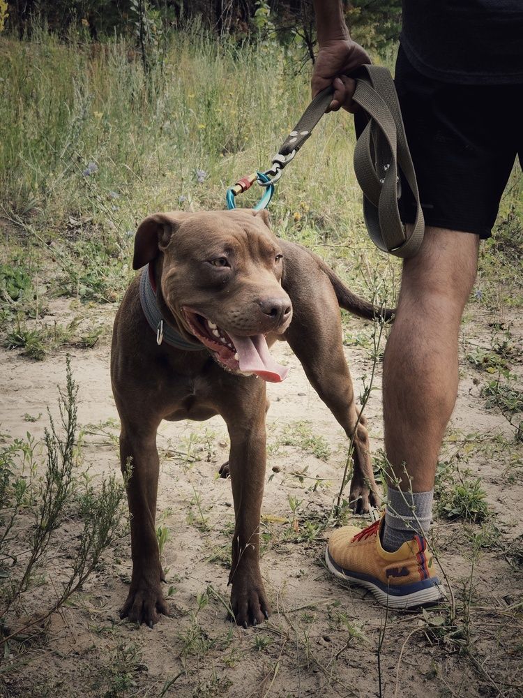 Photograph by Елена Ибрагимова