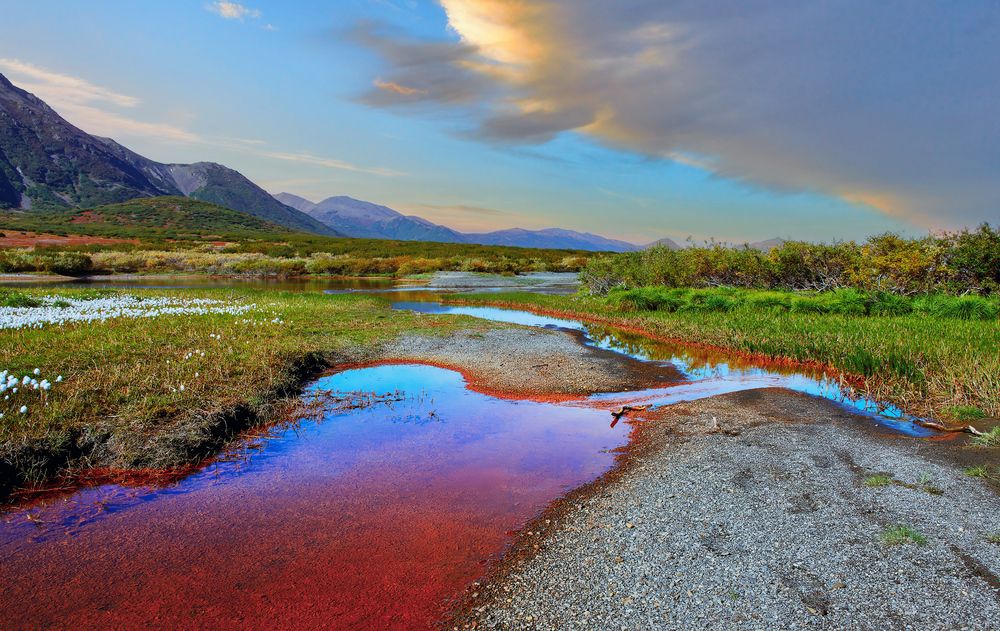 Photograph by Александр Алифанов
