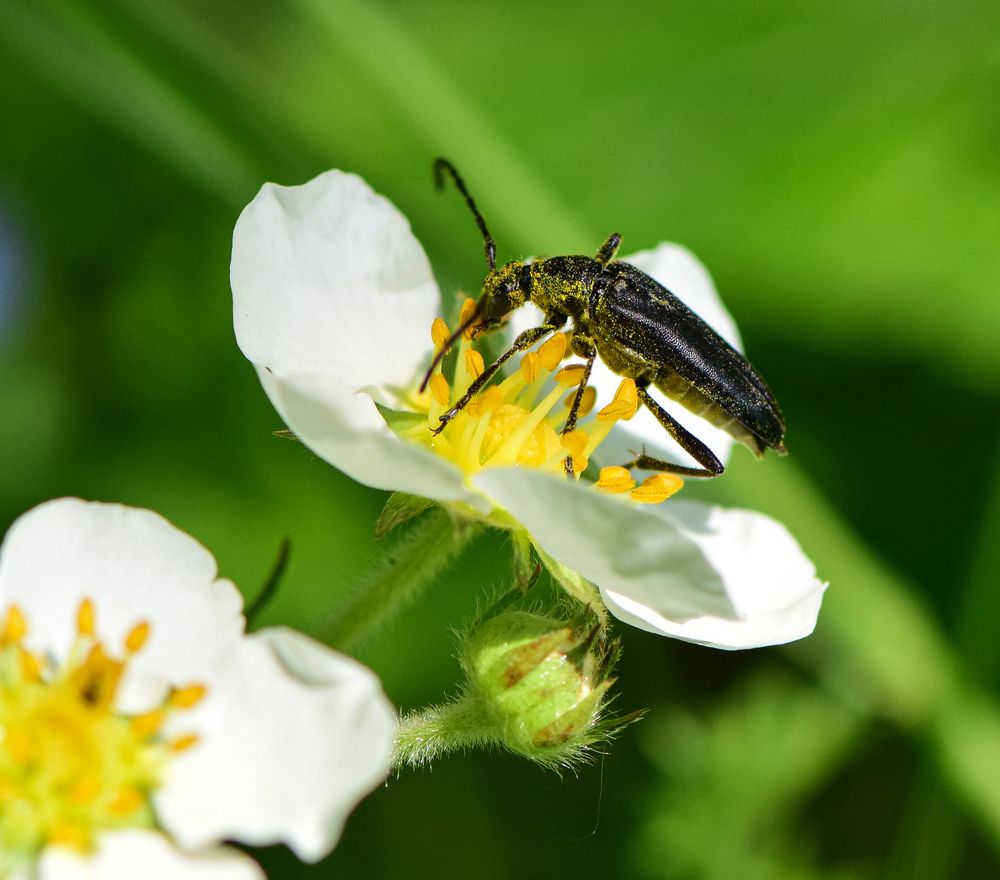 Фотография автора Tarasov Alexander