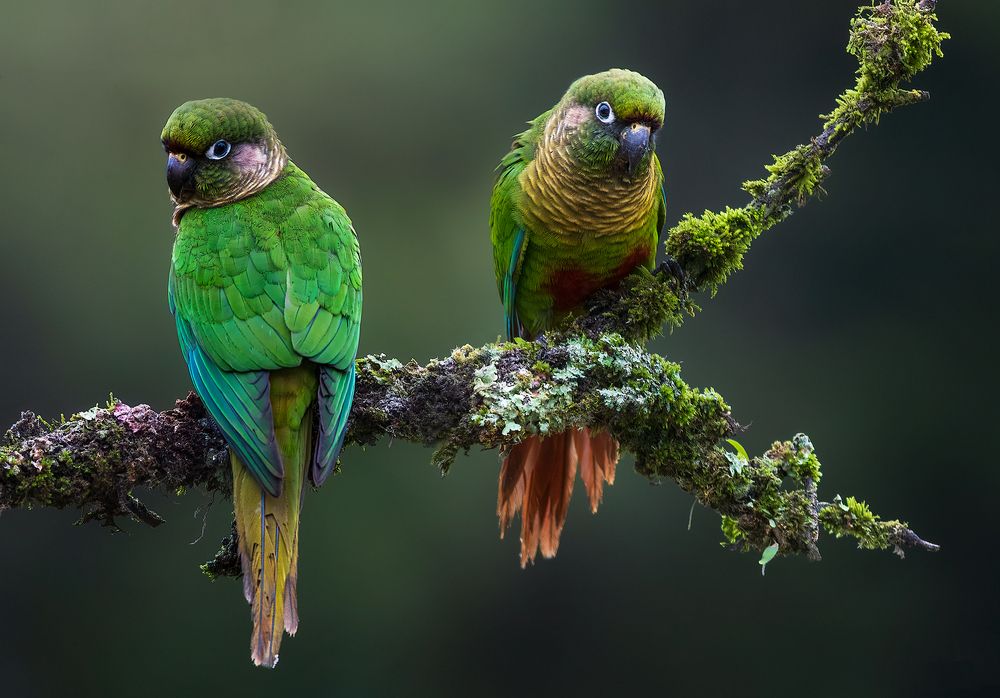 Photograph by Valdir Hobus