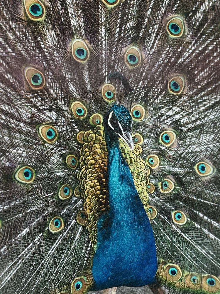 Photograph by Alia Khairullina
