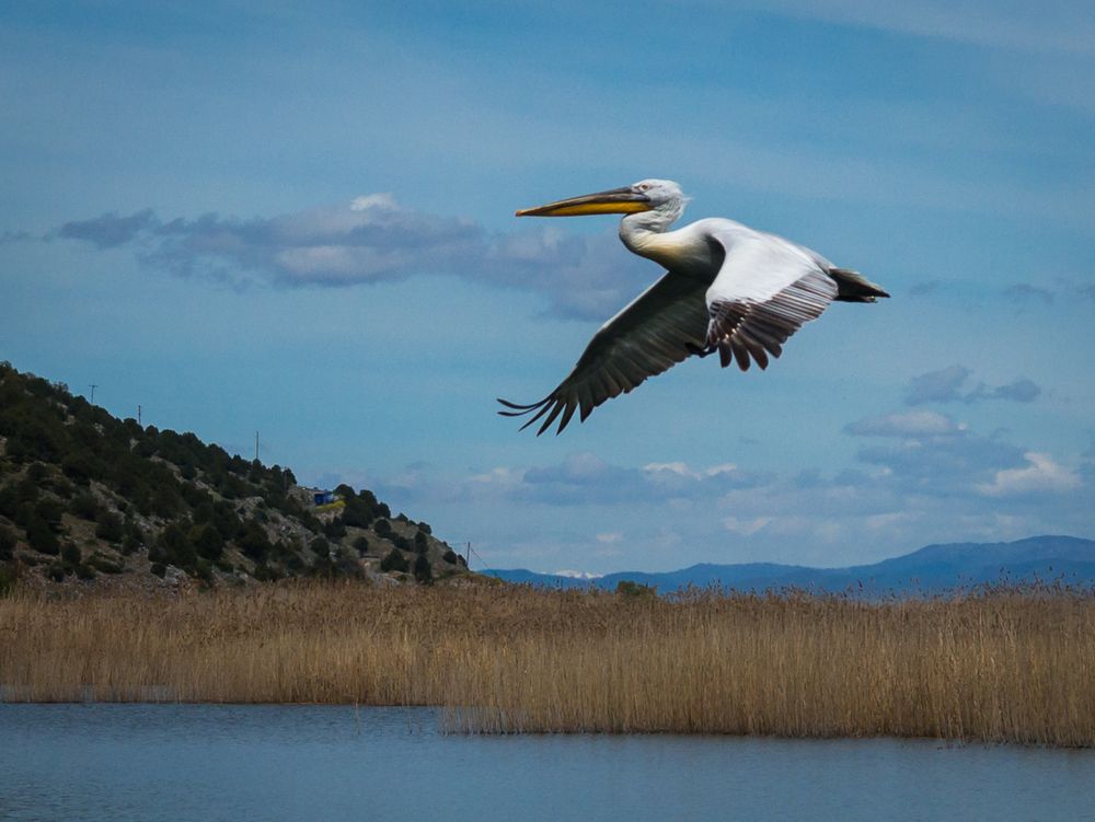 Photograph by Дария Максимова