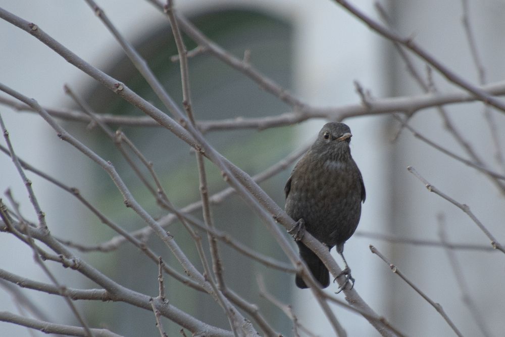 Photograph by Reza Bavani