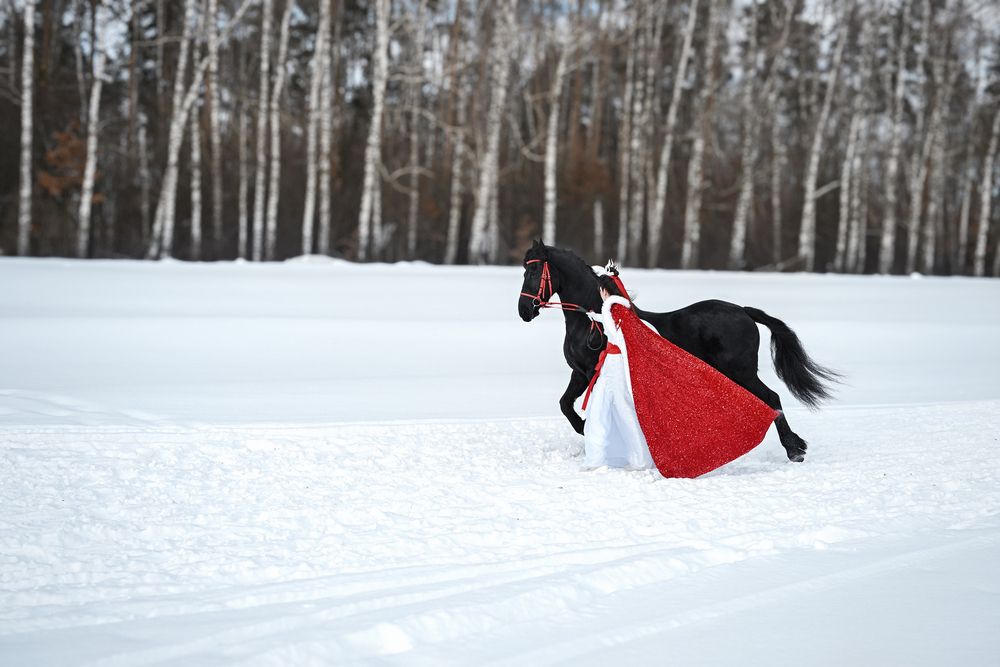 Photograph by наталья залогина