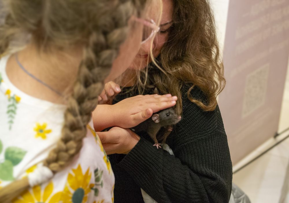 Photograph by Алиса Глыбоцкая