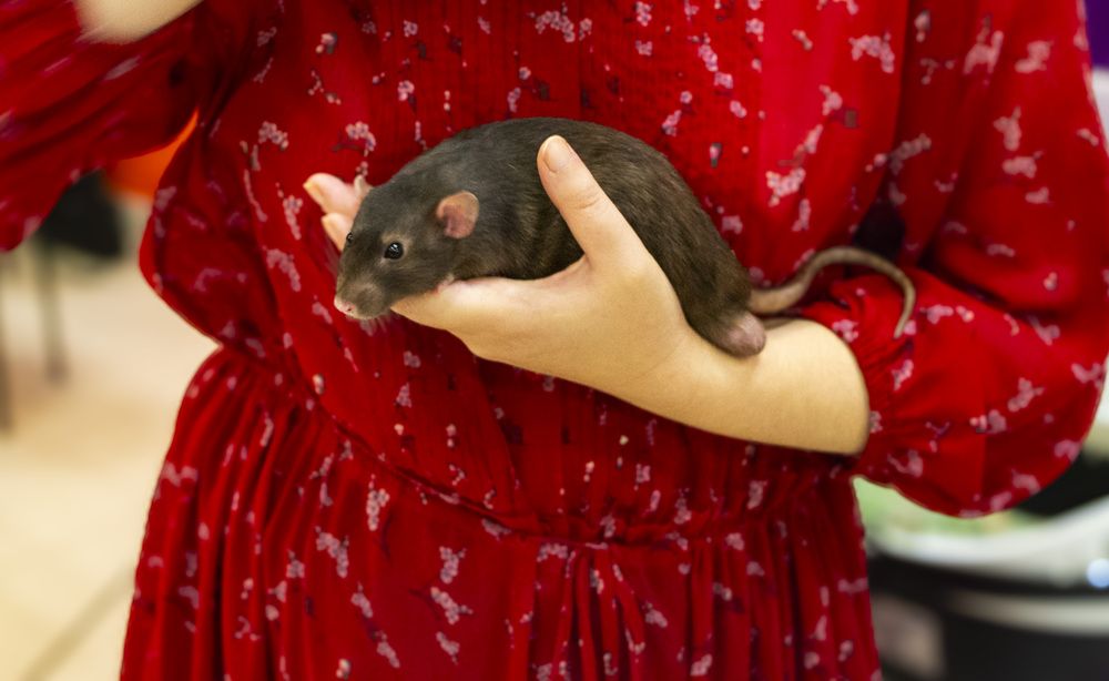 Photograph by Алиса Глыбоцкая