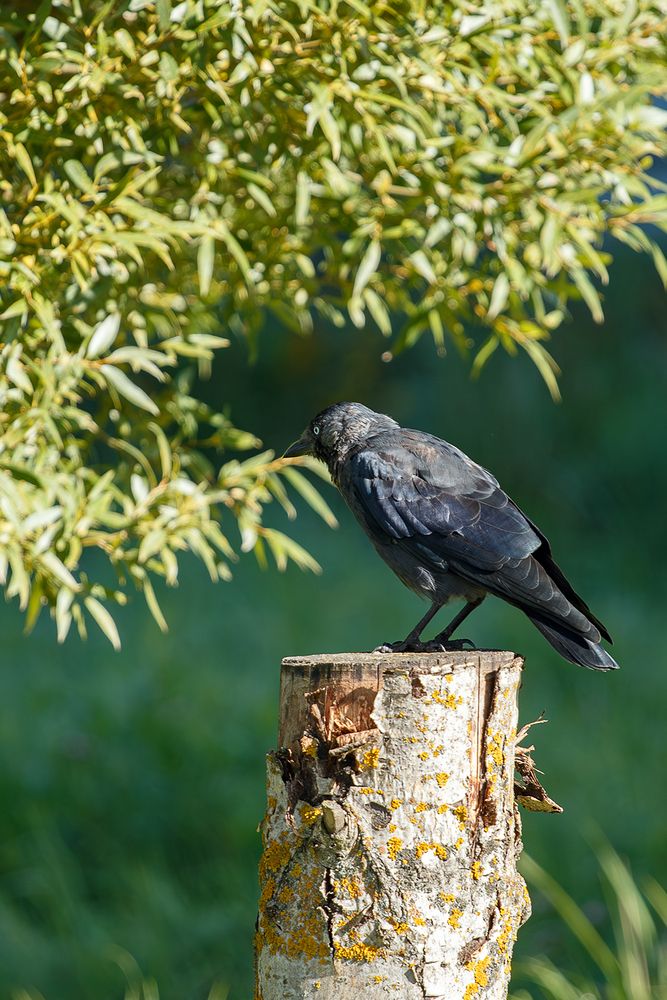 Photograph by Nadezhda Khrustaleva