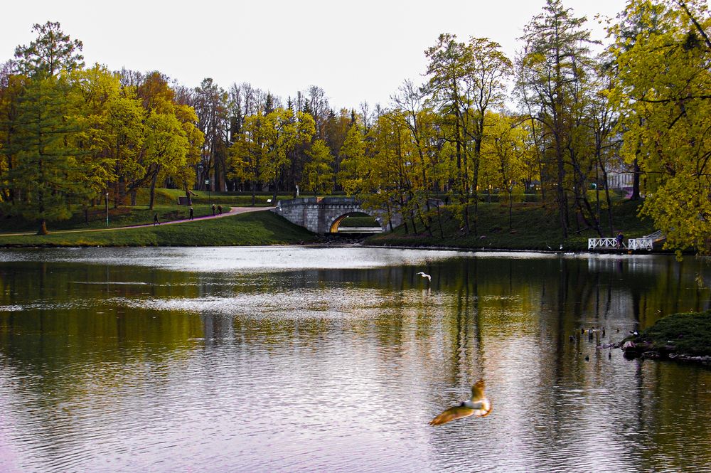 Photograph by Алиса Глыбоцкая
