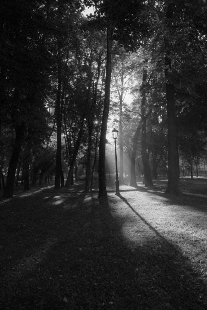 Photograph by Андрей Калмыков