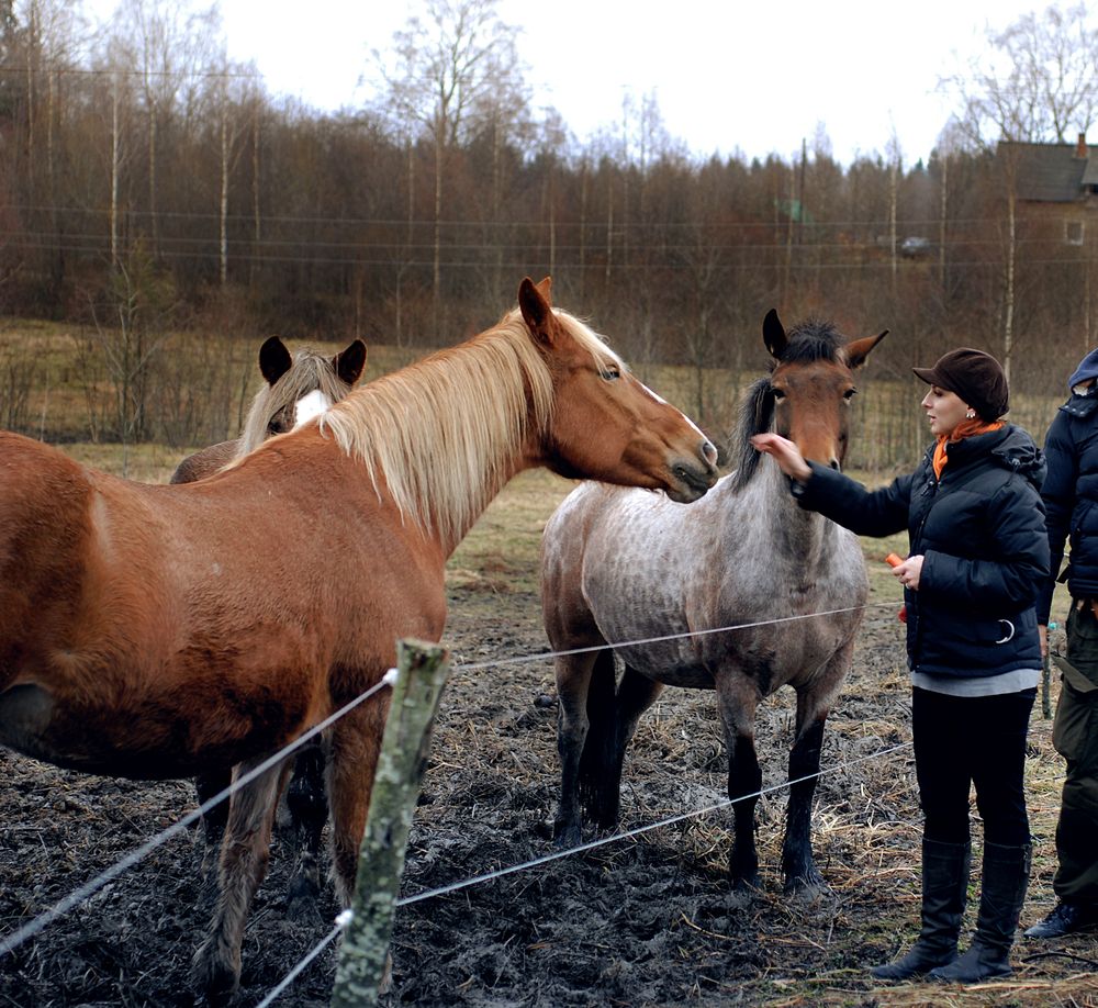 Фотография автора Анна Гаврилова