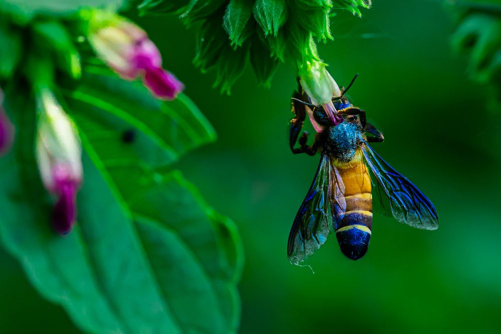Photograph by Bhumi Khurana