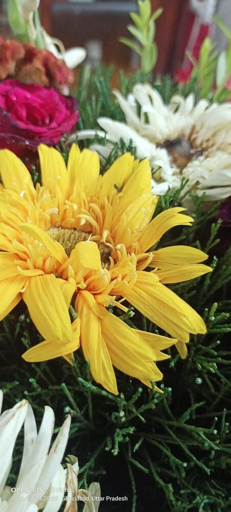 Photograph by Vidhi Khurana