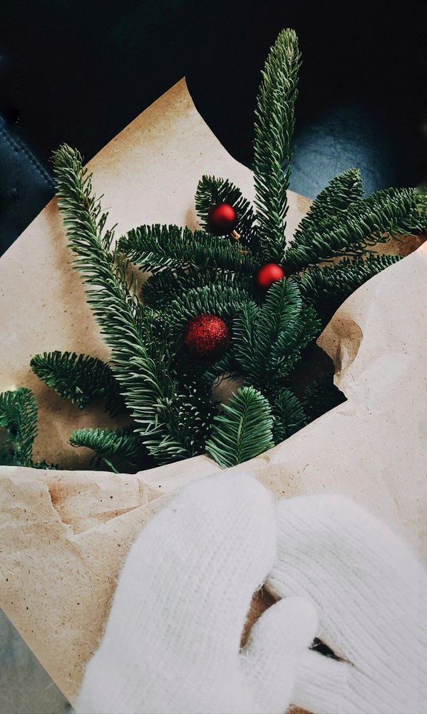 Фотография автора Наталья Силантьева