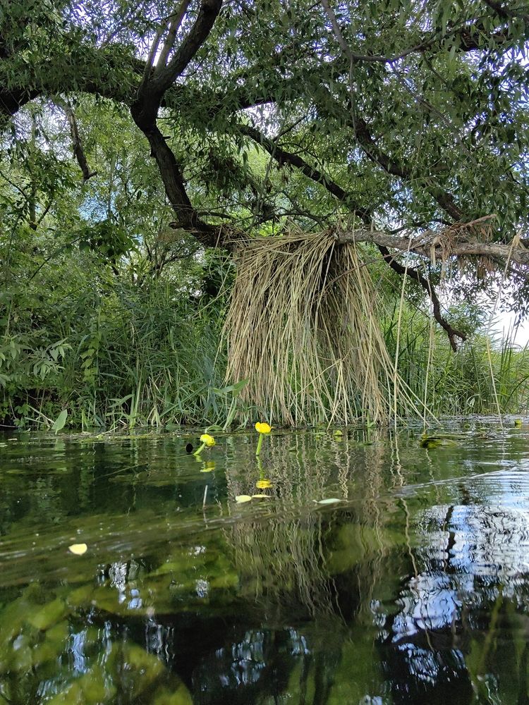 Photograph by Анастасия Кременчугская
