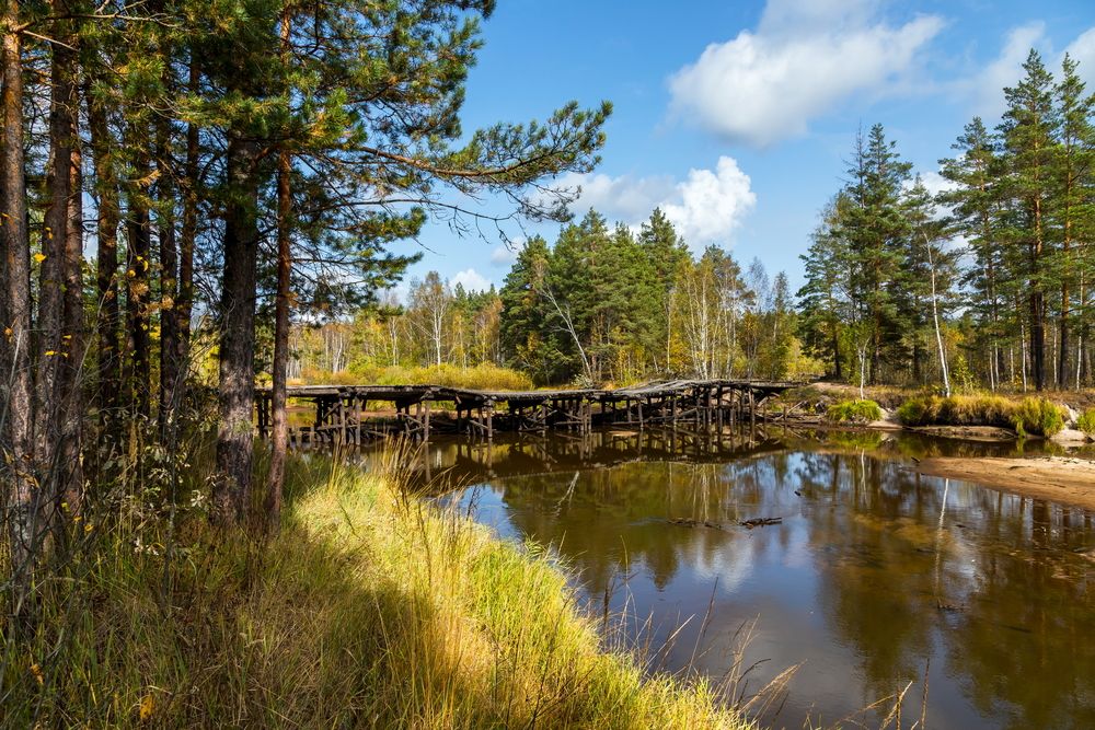 Фотография автора Юрий Морозов