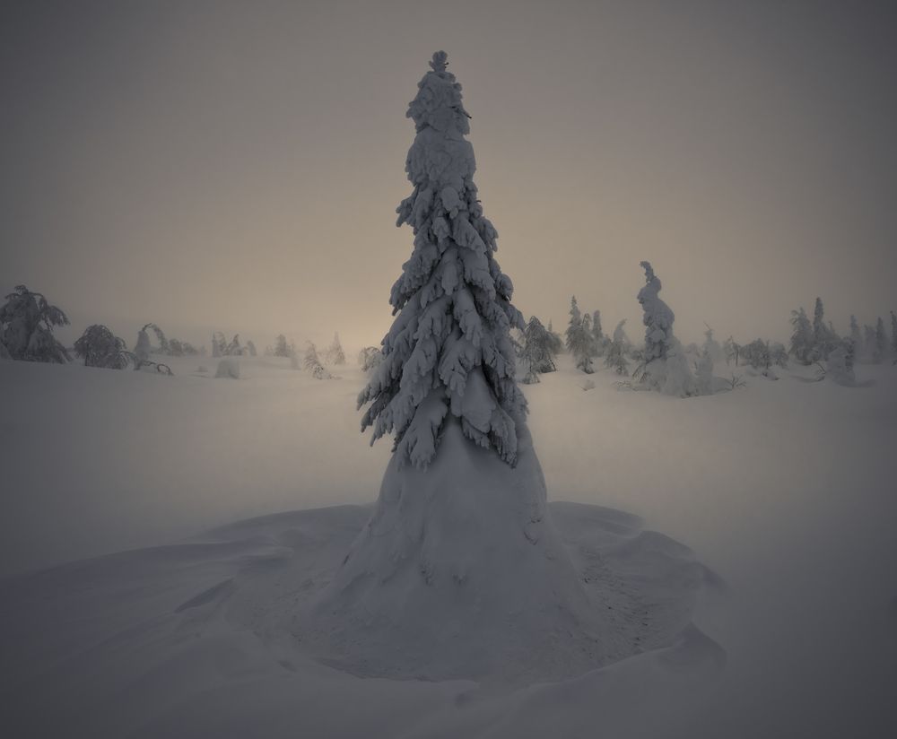 Photograph by Ширгин Сергей