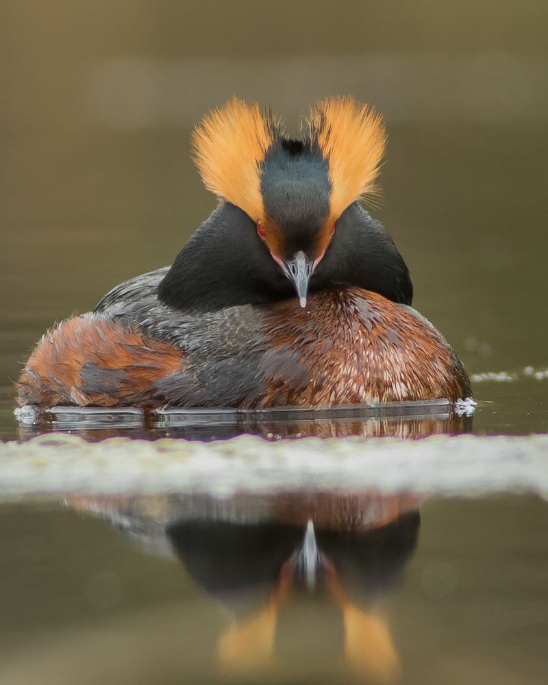 Фотография автора Суслов Дмитрий