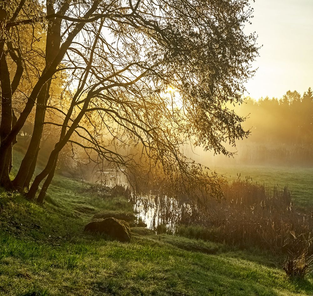 Фотография автора Eugenijus Rauduve