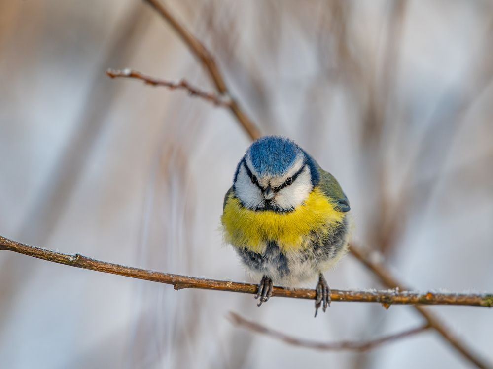 Photograph by Денис Гуляев