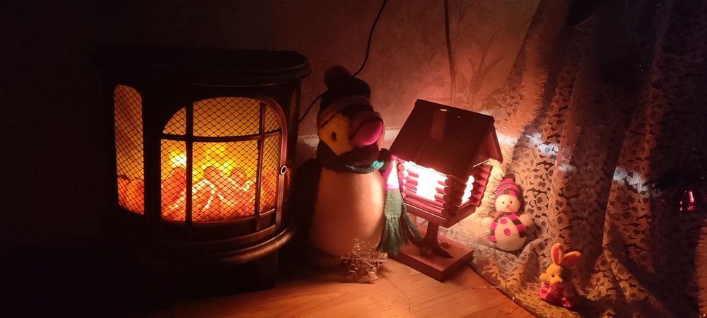 Фотография автора Елена Охапкина