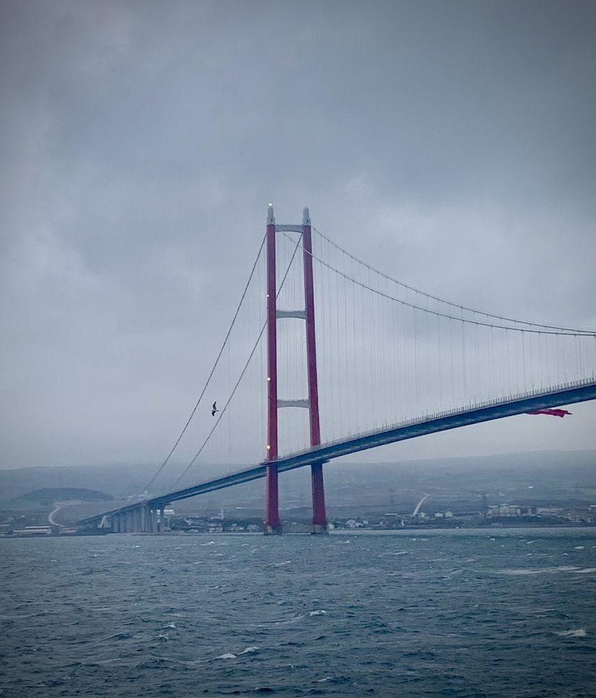 Photograph by Дмитрий Журавлёв