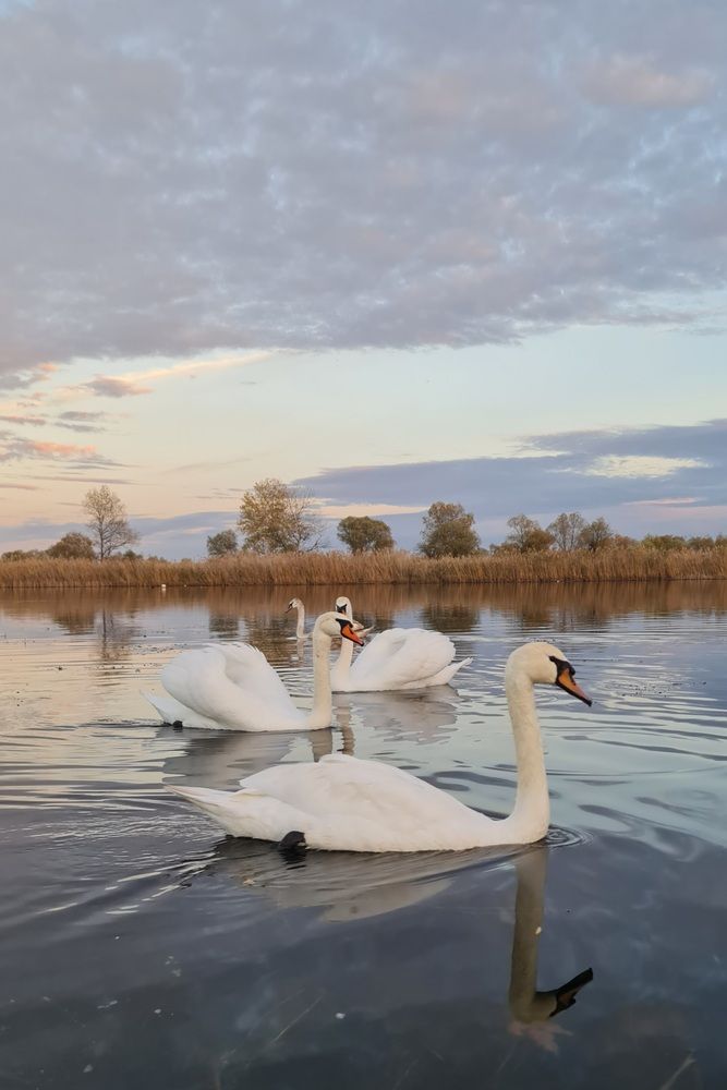 Photograph by Наталья Чурашова