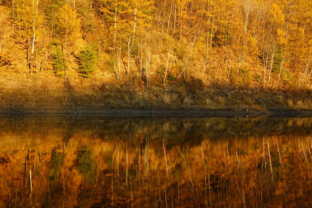 Photograph by Ирина Щеглова