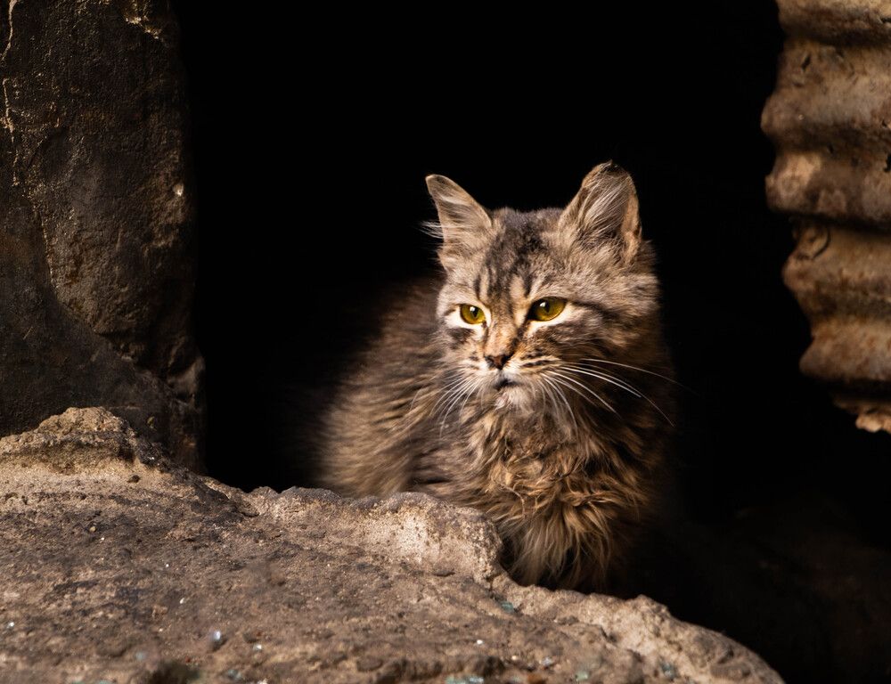 Photograph by Ahmed Ehab Moktar