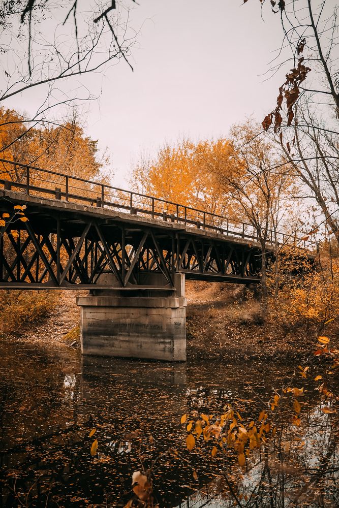 Photograph by Светлана Шибаршина