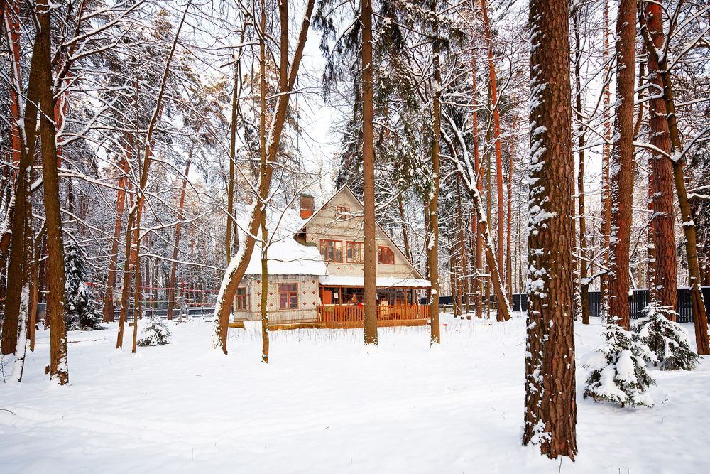 Photograph by Rada Olshevskaya