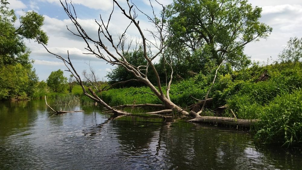 Photograph by Михаил Плотников