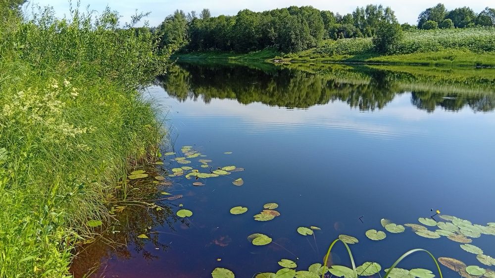 Photograph by Михаил Плотников