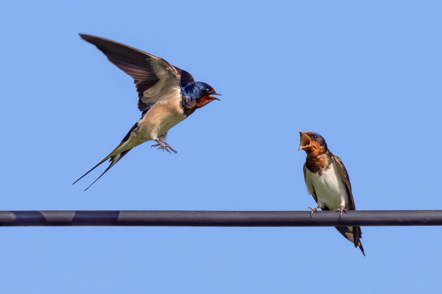 Пора взрослеть