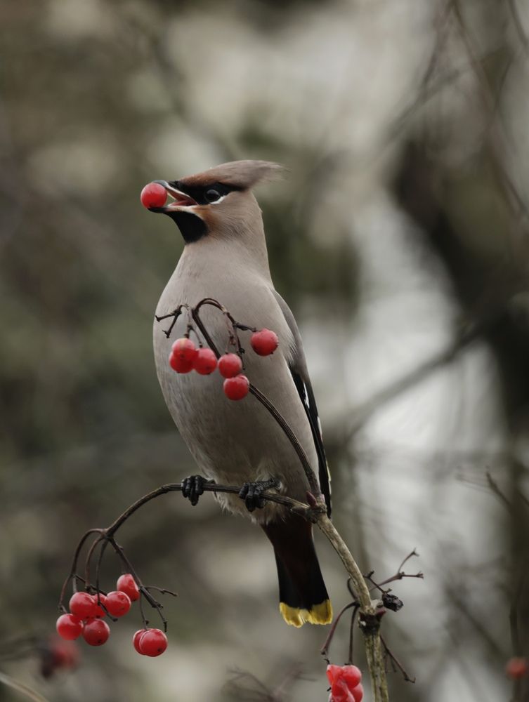 Photograph by Ольга