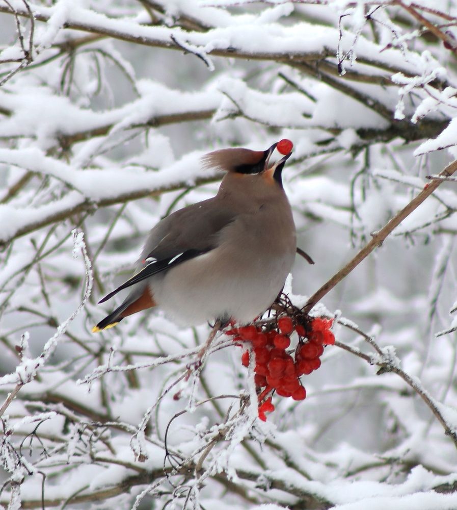 Photograph by Ольга