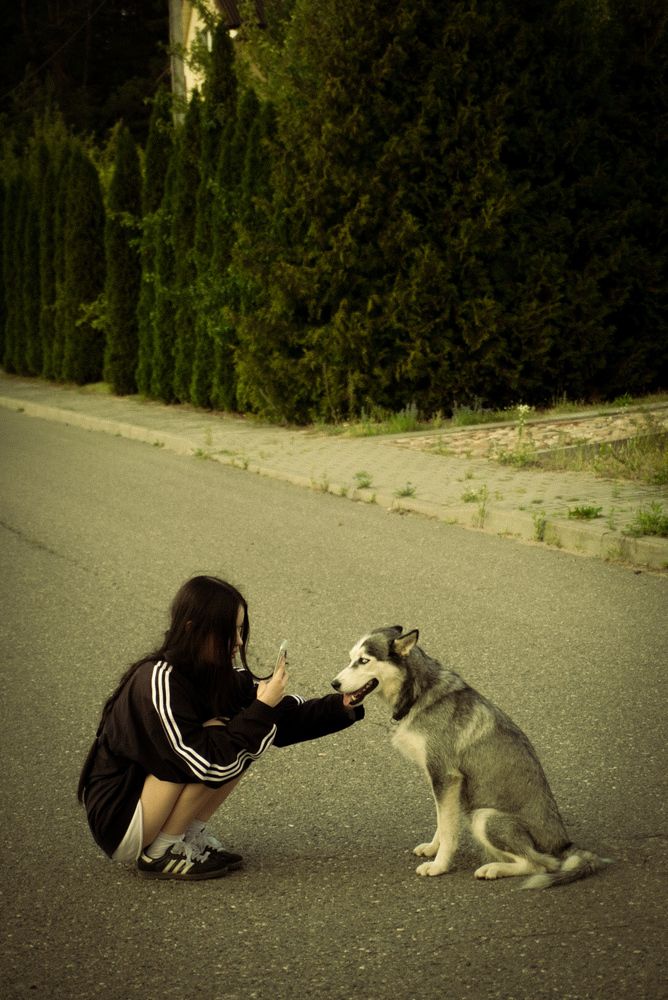 Photograph by Анастасия Мешкова