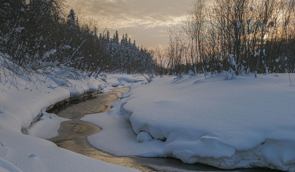 Photograph by Шабалин Игорь